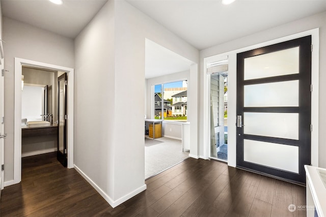 entrance foyer with dark wood-type flooring