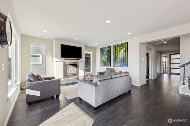 living room featuring dark wood-type flooring