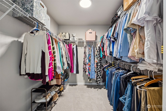 walk in closet featuring carpet flooring