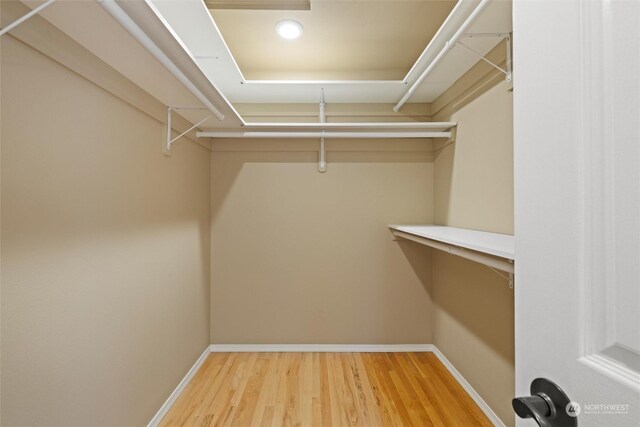 spacious closet with hardwood / wood-style floors