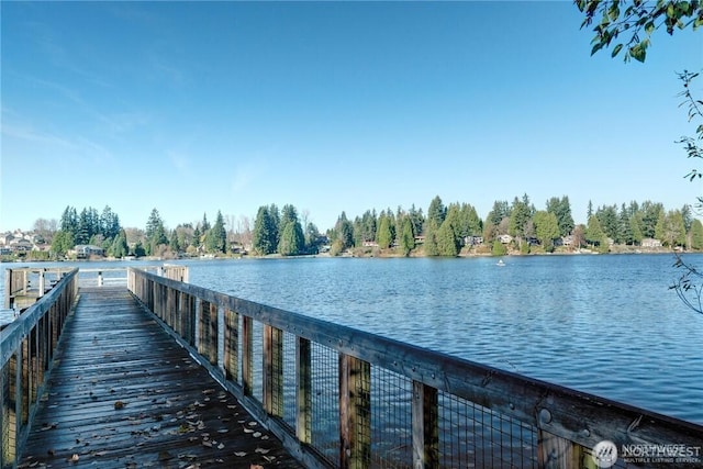 dock area with a water view