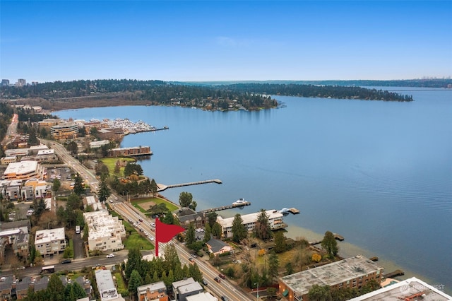 drone / aerial view with a water view