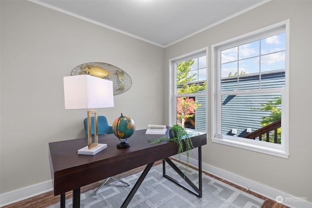 office space featuring crown molding and wood-type flooring