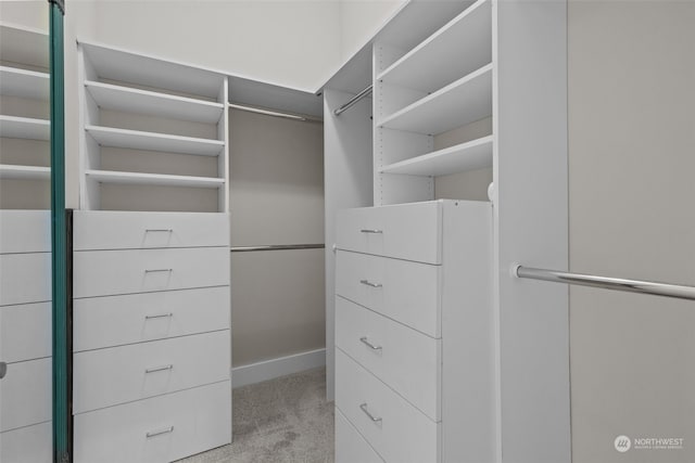 spacious closet featuring light carpet