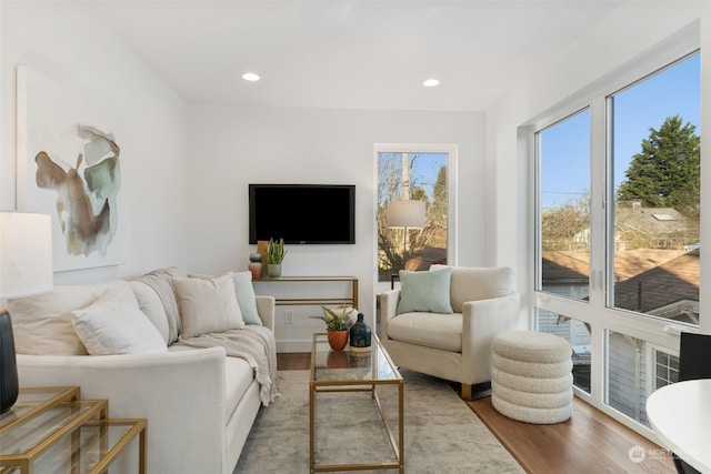 living room with wood-type flooring