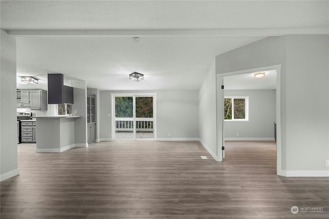 unfurnished living room featuring dark wood-type flooring