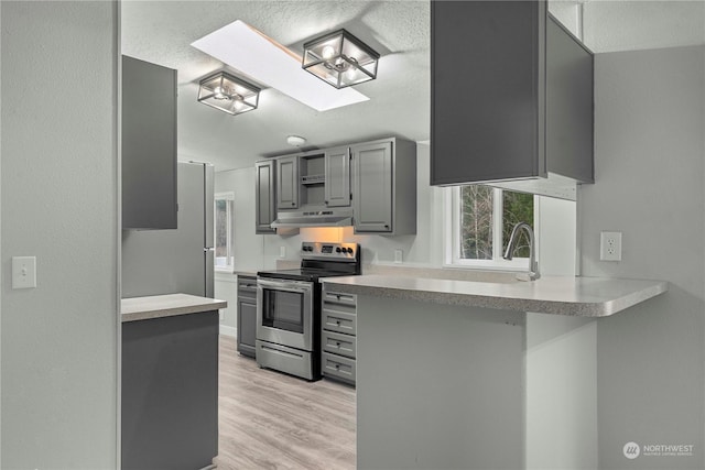 kitchen with kitchen peninsula, light hardwood / wood-style flooring, a skylight, appliances with stainless steel finishes, and gray cabinetry