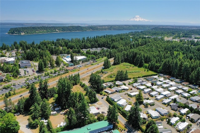 bird's eye view with a water and mountain view