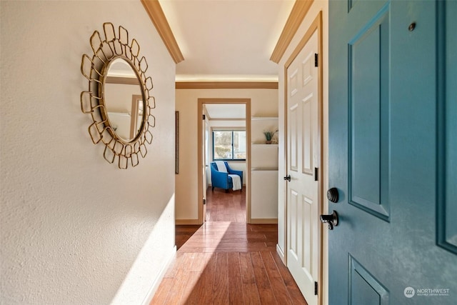 corridor featuring ornamental molding and dark hardwood / wood-style flooring