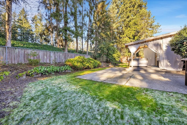 view of yard featuring a patio