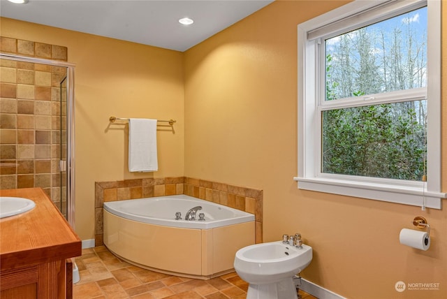 bathroom with vanity, a bidet, and independent shower and bath