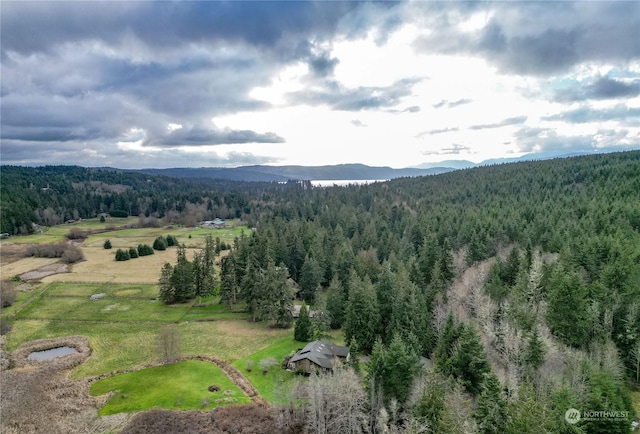 bird's eye view featuring a mountain view