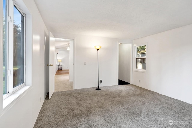 spare room with a wealth of natural light and carpet