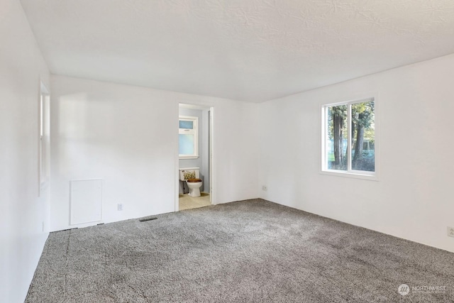 spare room with a textured ceiling and carpet flooring