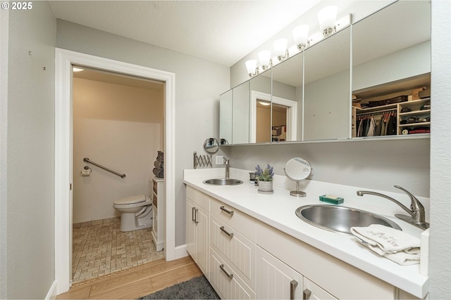 bathroom featuring toilet, hardwood / wood-style flooring, and vanity