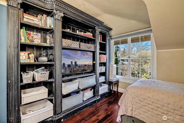 interior space featuring dark hardwood / wood-style flooring