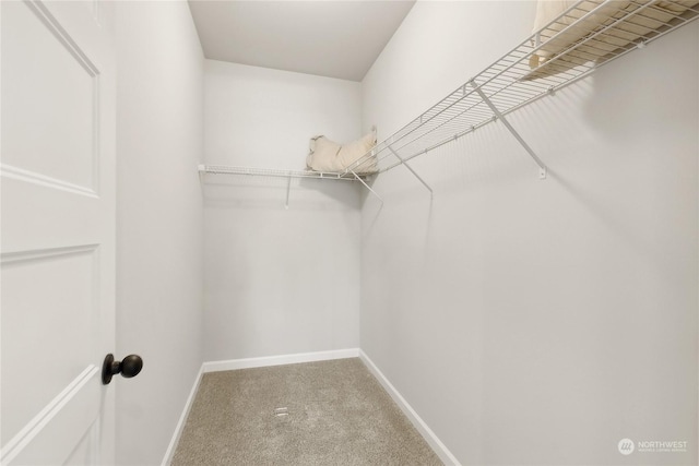 spacious closet with carpet floors