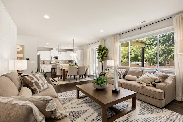 living room featuring dark wood-type flooring