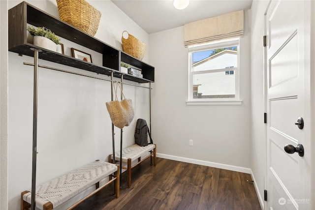 mudroom with dark wood-type flooring