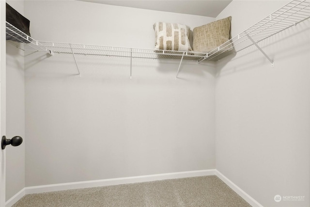 spacious closet with carpet