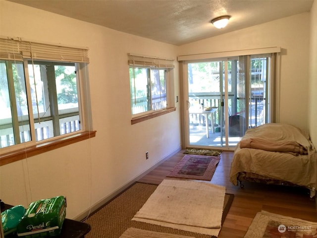 entryway with vaulted ceiling, a healthy amount of sunlight, light hardwood / wood-style floors, and a textured ceiling