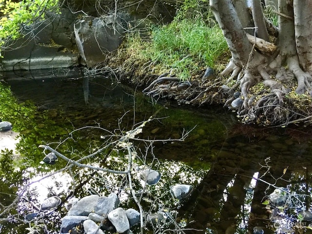 view of nature