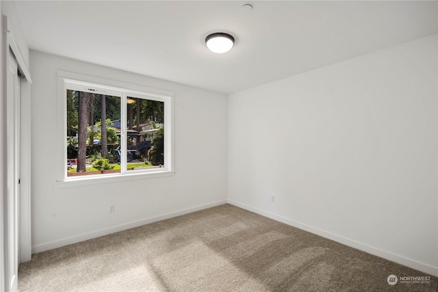 unfurnished room featuring carpet flooring