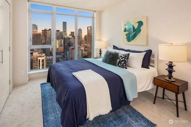 view of carpeted bedroom