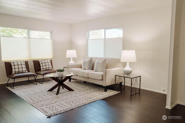 living room featuring dark hardwood / wood-style floors