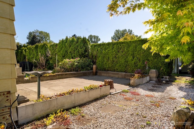 exterior space featuring a patio area