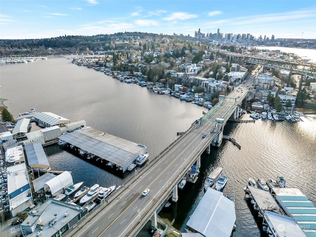 aerial view with a water view