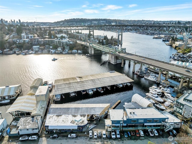 bird's eye view with a water view