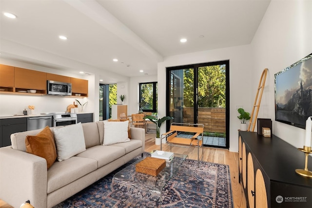 living room with light hardwood / wood-style flooring