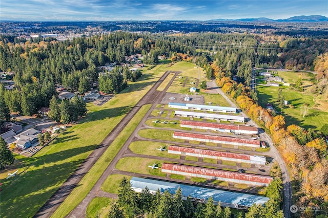 drone / aerial view featuring a mountain view