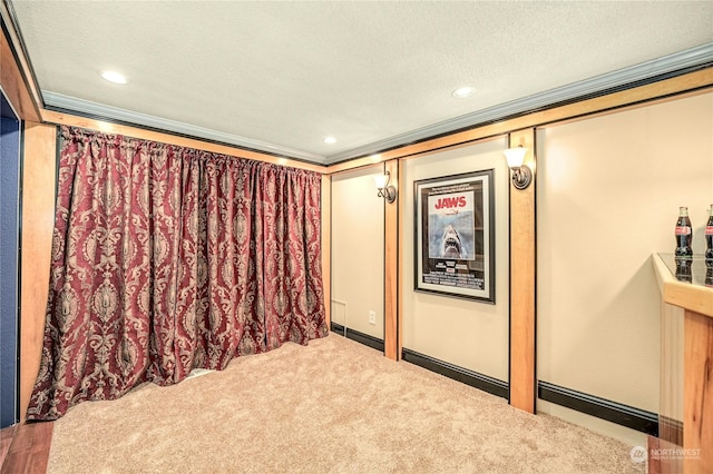 interior space with carpet floors, a textured ceiling, and ornamental molding