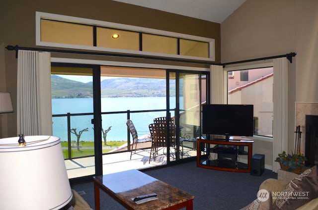 living room with carpet floors