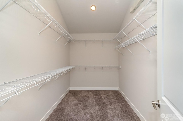 spacious closet featuring carpet floors