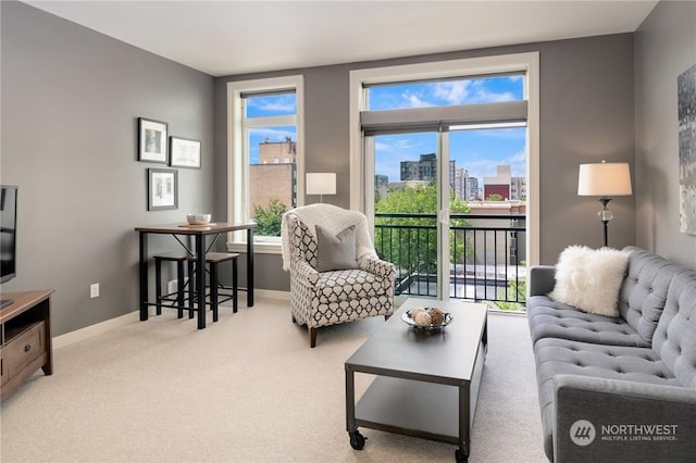 living room with carpet