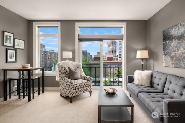 view of carpeted living room