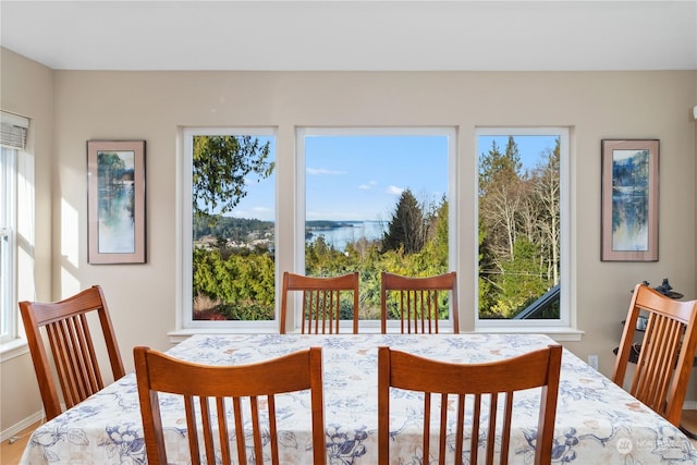 dining area with a healthy amount of sunlight