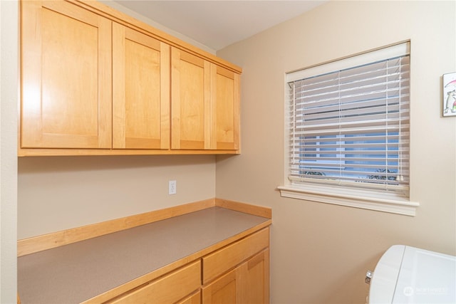 clothes washing area featuring cabinets