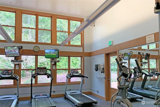 workout area with a towering ceiling