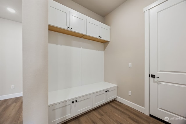 mudroom featuring dark hardwood / wood-style flooring