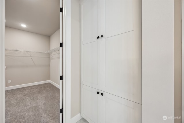 walk in closet with light colored carpet