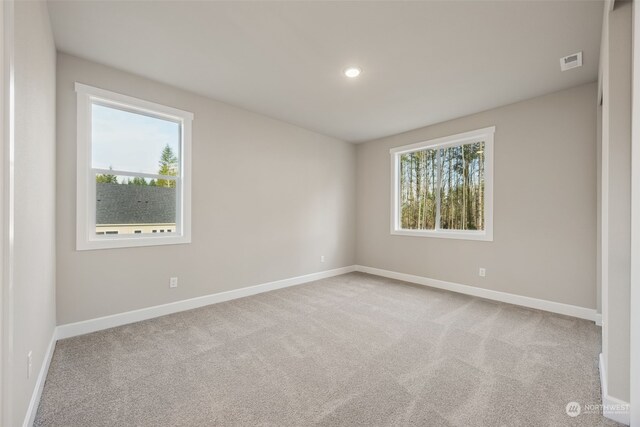 unfurnished room featuring light carpet and plenty of natural light