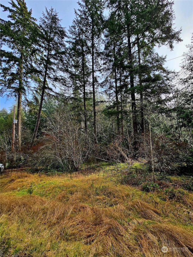 2590 E Mason Lake Rd, Shelton WA, 98584 land for sale