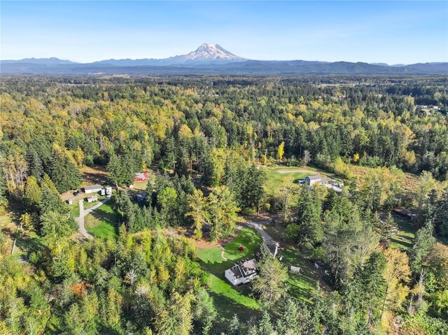 31106 59th Ave E, Eatonville, WA 98328 - photo 37