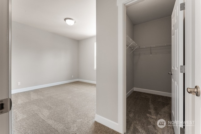 walk in closet featuring carpet flooring