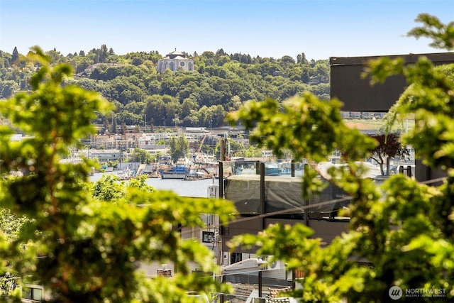 750 Crockett St Unit 403, Seattle, WA 98109 - bird's eye view
