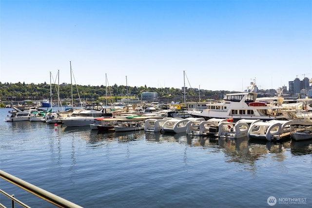 750 Crockett St Unit 403, Seattle, WA 98109 - dock area with a water view
